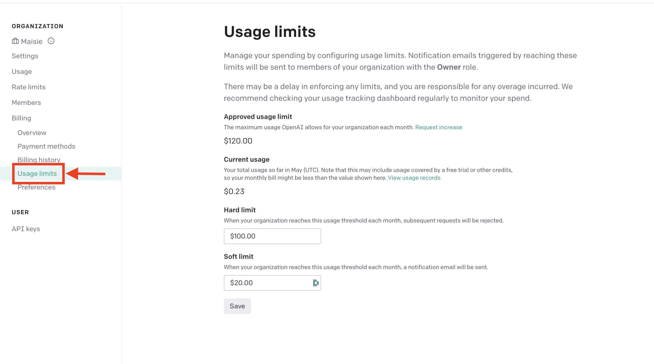 OpenAI Usage page